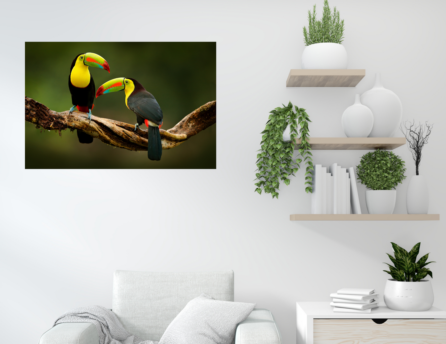 Pair of Toucans