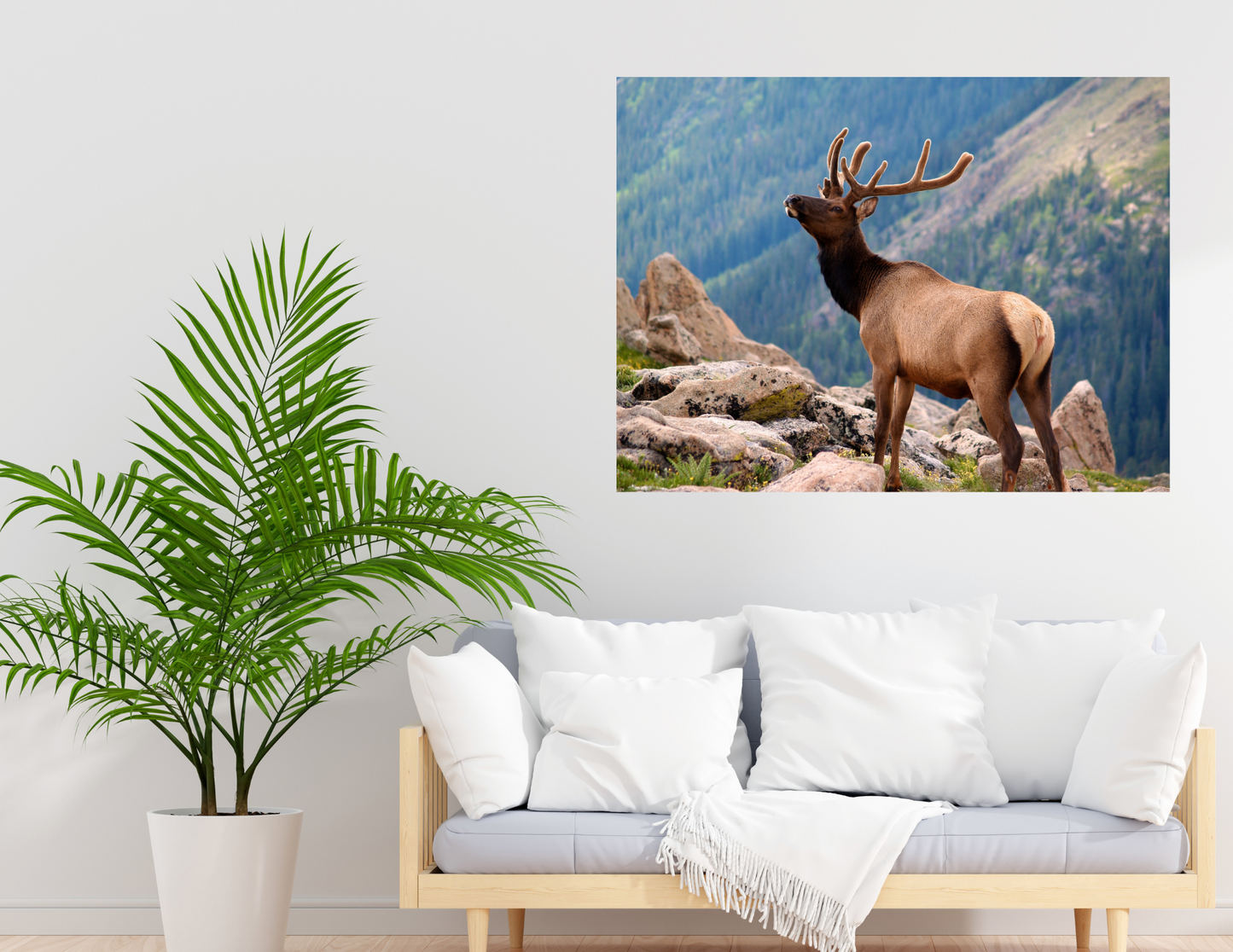 Elk on Cliff